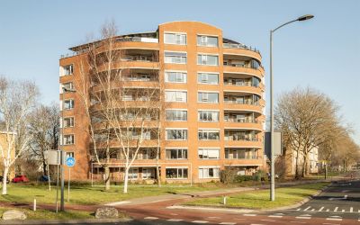 Indigohof 3