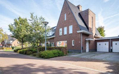 Hopvlinder 11