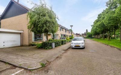 Alsemhof 19