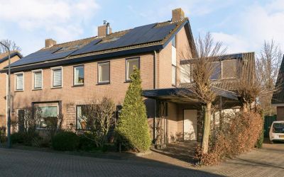 Nobelaar 7