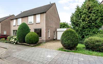 Willem Dree. 46