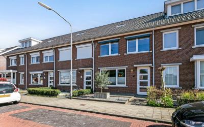 De Dorsvleg. 4