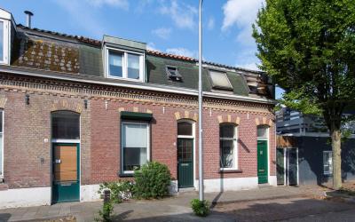 Goudenregen. 3