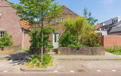 Van der Doe. 1
