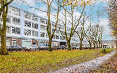 Trouwlaan 243
