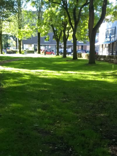 Trouwlaan 279