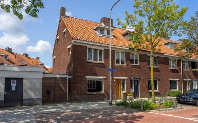 Korenbloems. 161