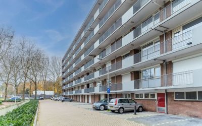 Cederstraat 39