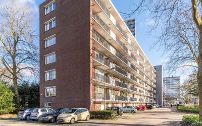 Cederstraat 117