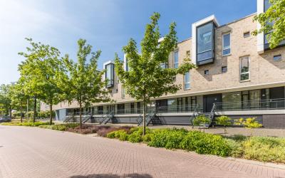 Gotenpark 173