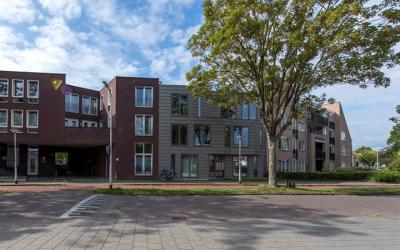 Boomstraat 134