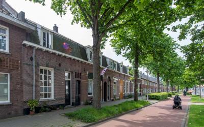 Boomstraat 174