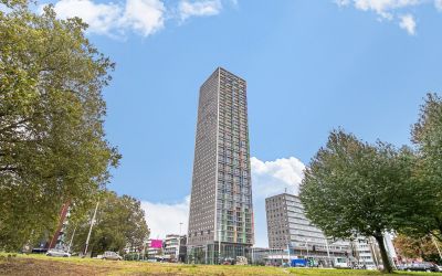 Westpoint 31