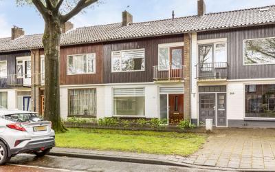 Lage Witsie. 256