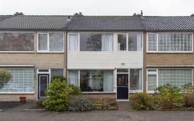 Vermiljoens. 10