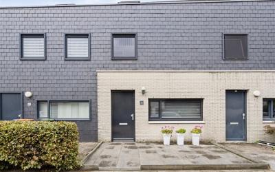 Metslawiers. 97
