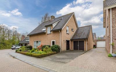 Holleven 6