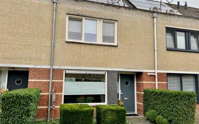 Zilverschoon 28