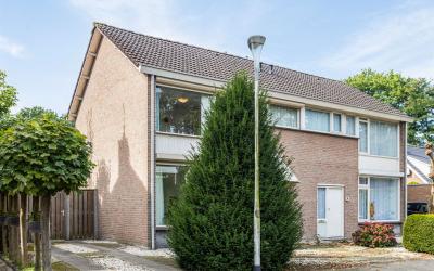 Lijsterbesl. 41