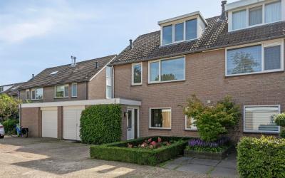 Olmenpad 29