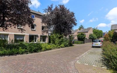 De Schelf 41