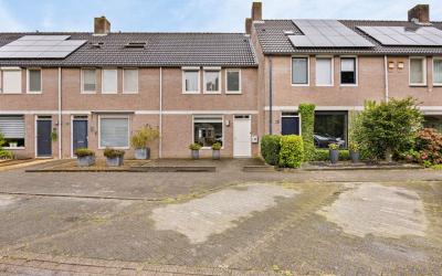 Dommel 40