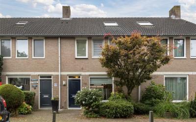 Dommel 115