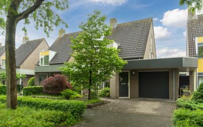 Dieze 55