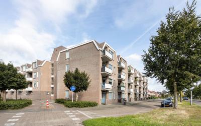 Majoraan 29
