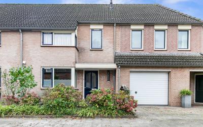 De Looijakk. 31