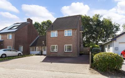 Goudsbloem 85