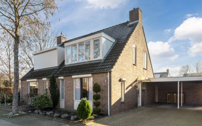 Koekoeksbloem 3