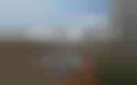Dovenetel 8