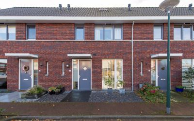 Schoenmaker 5