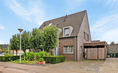 Rozemarijn 17