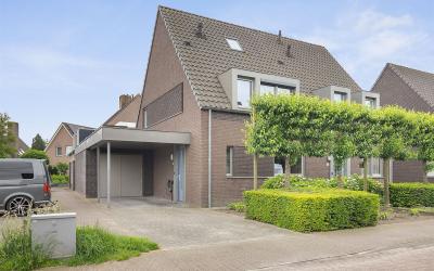 Rozemarijn 19