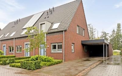 Rozemarijn 26