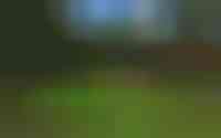 De Stille Wille 214