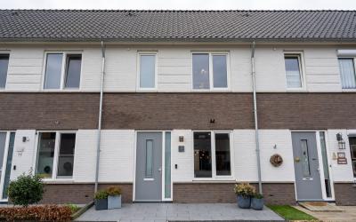 Paardebloem 10