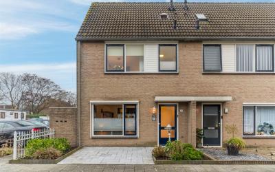 Tuin 53