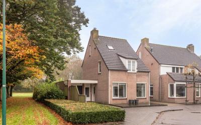 Tuin 38