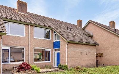 Druivengaar. 3