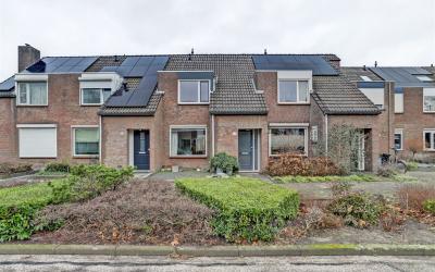Veld 29