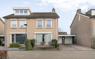 Lupineweide 7