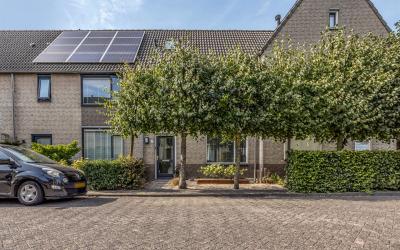 Jan de Rooi. 4