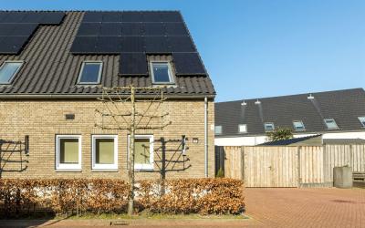 Blokske 7