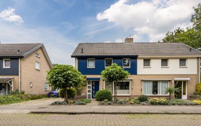 Wildschut 18