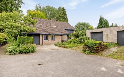 Gagel 4