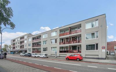 Wilhelminas. 49