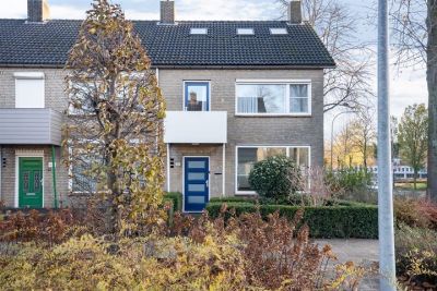 Groen van P. 43